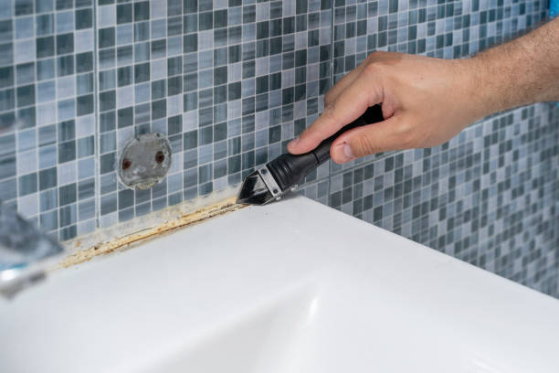 Mold Removal and Inspection in Grifton, NC